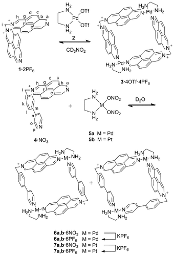 The synthesis of metallocycles 3, 6a,b and 7a,b.