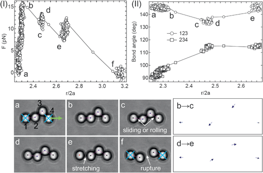 Micromechanics of aggregate (SS1) at an oil–water interface containing 0.25 M NaCl and 0.1 mM SDS in the aqueous sub-phase. (I) The force profile during the application of a tensile force with two optical traps and (II) the corresponding bond angle change. In the bottom are image frames corresponding to discontinuities in the force profile. The movement vectors for the steps b→c and d→e are shown to the right.