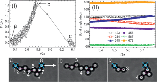 (I) Force profile and (II) bond angle change during the applications of tension to a small aggregate formed with 25 μM SPAN 80 in the decane super-phase (SP1). The bottom images (a–c) show snapshots corresponding to the moment of discontinuity in the force profile. The colors on the particles correspond to their bond number.