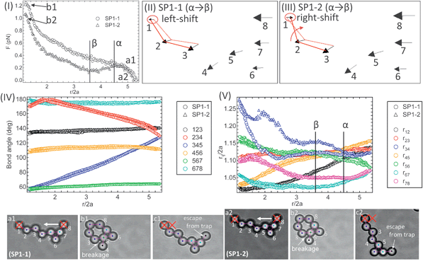 Micromechanics of aggregate during the first (SP1-1) and second (SP1-2) compressions. This aggregate is reformed from the ruptured aggregate (SP1) in Fig. 2. Force profiles (I), movement vectors (II, III), bond angle changes (IV), and particle separations between two neighboring particles (V). The bottom images are the corresponding aggregate images. The colors on the particles correspond to their bond number.