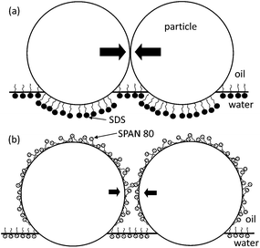 Proposed origin of the difference of aggregate rigidities under the conditions of SDS in the sub-phase (a) and SPAN 80 in the super-phase (b). The particle at the interface in both conditions dominantly belongs to the oil-side, compared to the one at the neat oil–water interface (i.e., neutral wetting).34 SPAN 80 molecules adsorbed in the super-phase on the particle surface, considering the relatively polar alcohol head groups. The scale is exaggerated for illustration.