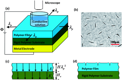 Schematic illustrations of the current experimental setup for studying the electro-creasing instability (a), a pattern of electro-creases (b), the electric fields in the polymers (c), and a cross-section of the creased film (d).