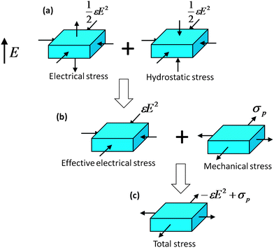 The electrical stress in the film is superimposed by a hydrostatic stress to give an effective electrical stress (a). The effective electrical stress plus the mechanical stress from the pre-stretch (b) gives the total stress in the film (c).