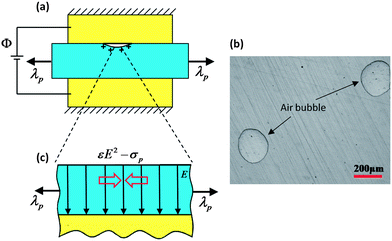 The previous experimental setup for measuring the breakdown electric fields of dielectric elastomers25 (a), and air bubbles trapped on the polymer–electrode interface (b). The discharged air bubbles may induce the electro-creasing instability in the dielectric elastomer (c).