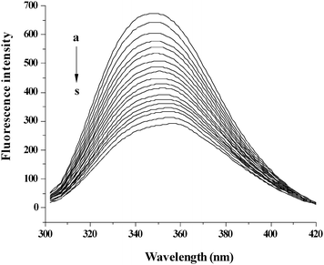 The quenching effect of O#SQDs on BSA fluorescence intensity. λex = 280 nm; BSA, 1.00 × 10−5 mol L−1; a–s: 0.00, 2.00, 4.00… 36.00 (× 10−6 mol L−1) of O#SQDs.