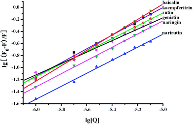 Double-logarithm curves of flavonoid glycosides quenching BSA fluorescence in the presence of O#SQDs.