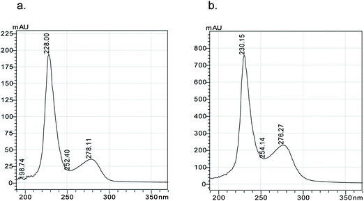 
            UV spectra of: (a) 1.0 g L−1nBSA and (b) 4.0 g L−1cBSA.