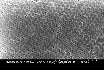 
            SEM image of colloidal polystyrene spheres (500 nm diameter) assembled by vertical deposition onto a pre-treated gold substrate in a temperature controlled bath (55 °C).