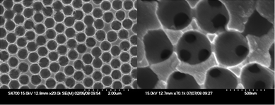 
            SEM images, at different magnification of a macroporous gold scaffold obtained upon electro-depositing though templates formed by vertical deposition of 500 nm diameter polystyrene spheres to yield 2½ deposited layers of gold.