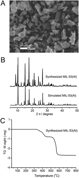 (A) SEM image of the prepared MIL-53(Al); (B) comparison of the XRD pattern of the prepared MIL-53(Al) with the simulated one; (C) TGA curve of the prepared MIL-53(Al).