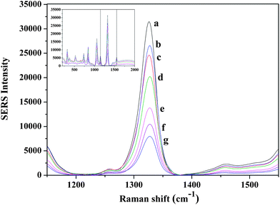 Symmetric NO2 stretching bands of DTNB range from 1000 nM to 0 nM target concentration obtained with rod shaped nanoparticles (a) 1000 nM, (b) 500 nM, (c) 100 nM, (d) 75 nM, (e) 50 nM, (f) 25 nM (g) 0 nM target concentration.