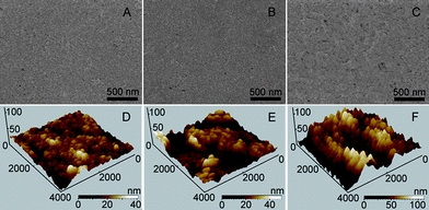 SEM (A–C) and AFM (D–F) characterizations of QDs/SPCE (A and D), chitosan/QDs/SPCE (B and E) and GOx-chitosan/QDs/SPCE (C and F).