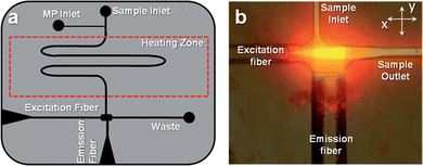 (a) Design of the polymer-based microfluidic chip with integrated fiber optics for delivering excitation light to the chip and collecting the resulting emission. The fibers were placed in guide channels embossed into the chip to allow exact placement during chip assembly and were oriented at 90° with respect to each other. The chip also contained a backside heater to control the temperature for hybridization-based assays. (b) Fluorescence image of the field-of-view of the excitation and emission fibers showing the intersection of the optical paths, which defined the probe volume that was determined to be 98 pL. The chip was filled with Alexa Fluor 660 dye to generate the necessary image.