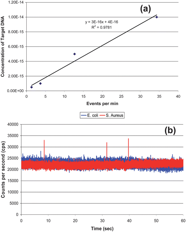 (a) Calibration curve generated from the data shown in Fig. 6. The data points were fit to a linear function, y = 3 × 1015 x − 0.9291, with R2 = 0.97. (b) rDNAextracted from 2,000 S. aureuscells (Gram (+)) and mixed with the 0.5 nM MB solution. As a control, DNA from E. coli (Gram(−)) was extracted and mixed with the MB solution as well. The S. aureus showed 3 events above the discrimination level whereas the E. coli showed no events above this level.