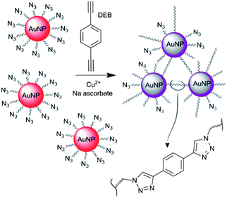 Schematic depiction of the copper-triggered aggregation of AuNPs for Cu2+ detection.