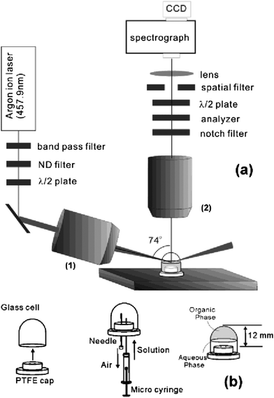 (a) Optics configuration and (b) optical cell design for resonant enhanced TIR Raman spectroscopy at the liquid–liquid interface. Reprinted with permission from ref. 67. Copyright 2003 American Chemical Society.