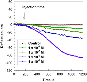 Bending response as a function of time, t, for a silicon microcantilever coated with AChBP on the gold surface after injection of a 10−4 M solution of acetylcholine in 0.01 M phosphate buffer at pH = 7.0. The microcantilever was pre-equilibrated in the 0.01 M phosphate buffer solution before injection of the acetylcholine solution.