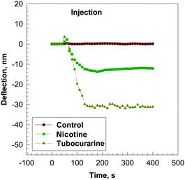 Bending response as a function of time, t, for a silicon microcantilever coated with AChBP after injection of a 10−6 M solution of nicotine (■) and d-tubocurarine (◆) in 0.01 M phosphate buffer at pH = 7.0. The microcantilever was pre-equilibrated in the 0.01 M phosphate buffer solution before injection of the analyte solution. Control experiments were done by introducing 10−6 M solution of nicotine (●) and d-tubocurarine (line not shown) to a microcantilever without AChBP in 0.01 M phosphate buffer at pH = 7.0.