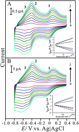 
            Cyclic voltammograms of PNR/FAD/GCE examined in 0.1 M PBS (pH 7) with different scan rates of (A) low scan rate: (a) 0.01, (b) 0.02, (c) 0.03, (d) 0.04, (e) 0.05, (f) 0.06, (g) 0.07, (h) 0.08, (i) 0.09, and (j) 0.1 V s−1; and (B) high scan rate: (a) 0. 1, (b) 0.2, (c) 0.3, (d) 0.4, (e) 0.5, (f) 0.6, (g) 0.7, (h) 0.8, (i) 0.9, and (j) 1 V s−1, respectively. Insets show the plot of anodic and cathodic peak current (Ipa and Ipc) vs. scan rate.