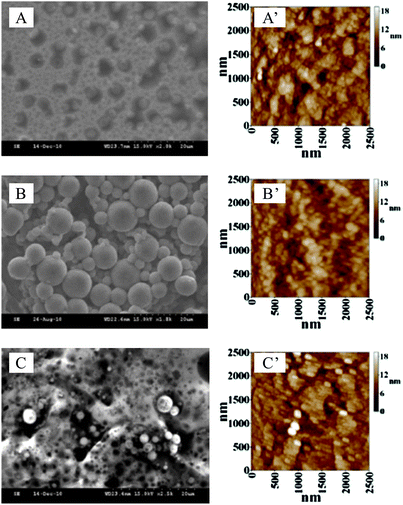 
            SEM images of (A) PNR/ITO, (B) FAD/ITO, and (C) PNR/FAD/ITO; tapping mode AFM images of (A′) PNR/ITO, (B′) FAD/ITO, and (C′) PNR/FAD/ITO.