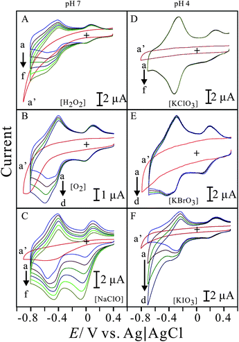 
            Cyclic voltammograms of PNR/FAD/GCE examined in 0.1 M PBS (pH 7) or 0.1 M KHP (pH 4) in the presence of: (A) [H2O2] = (a) 0 M, (b) 2 × 10−2 M, (c) 4 × 10−2 M, (d) 6 × 10−2 M, (e) 8 × 10−2 M, and (f) 1 × 10−1 M; (B) [O2] = (a) 0 mg L−1 (0%), (b) 0.8 mg L−1 (10%), (c) 1.6 mg L−1 (20%), and (d) 2.4 mg L−1 (30%); (C) [NaClO] = (a) 0 M, (b) 4 × 10−3 M, (c) 8 × 10−3 M, (d) 1.2 × 10−2 M, (e) 1.6 × 10−2 M, and (f) 2 × 10−2 M; (D) [KClO3] = (a) 0 M, (b) 9 × 10−3 M, (c) 1.8 × 10−2 M, (d) 2.7 × 10−2 M, (e) 3.6 × 10−2 M, and (f) 4.5 × 10−2 M; (E) [KBrO3] = (a) 0 M, (b) 1.5 × 10−2 M, (c) 3 × 10−2 M, and (d) 4.5 × 10−2 M; (F) [KIO3] = (a) 0 M, (b) 1 × 10−2 M, (c) 2 × 10−2 M, and (d) 3 × 10−2 M, respectively; (a′) is the cyclic voltammogram of the bare GCE examined in the maximal concentration of reactants in each case (A–F), scan rate = 0.1 V s−1.