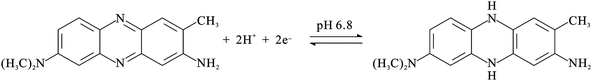 The redox reaction of neutral red.