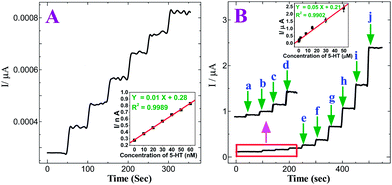 
            (A) Amperometric i–t curve for the determination of 5-HT at p-AMTa electrode in 0.2 M PB solution (pH 7.2). Each addition increases the concentration of 5-HT by 10 nM at a regular interval of 50 s. Eapp = +0.6 V. Inset: Plot of concentration of 5-HT vs. current. (B) Amperometric i–t curve for the increment of (a) 0.01 (b) 0.1 (c) 0.2 (d) 0.4 (e) 0.8 (f) 2 (g) 8 (h) 15 (i) 30 and (j) 50 μM 5-HT at p-AMTa electrode in 0.2 M PB solution (pH 7.2) at a regular interval of 50 s. Eapp = +0.6 V. Inset: Plot of concentration of 5-HT vs. current.