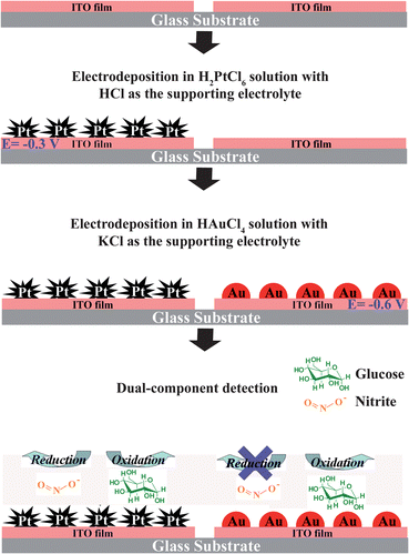 Schematic representation of the fabrication of a dual-region modified electrode and its application in dual-component detection.