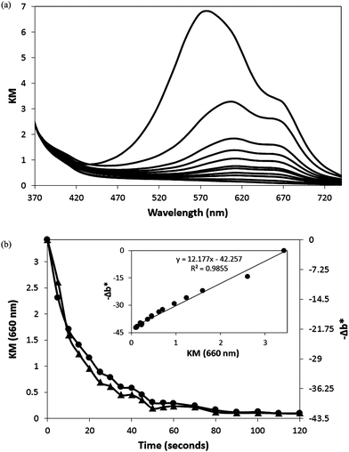 (a) Plot of KM spectra of the oxygen-indicating plastic film, before and during UVA light activation (90 s at irradiance of 4 mW cm2). The irradiation times are (from top to bottom): 0, 5, 10, 15, 20, 25, 30, 40, 50, 60 and 90 s respectively. (b) KM (660 nm) (▲) and −Δb* (●) as a function of irradiation time during photoactivation. The insert plot shows the linear correlation between KM (660 nm) and −Δb*.