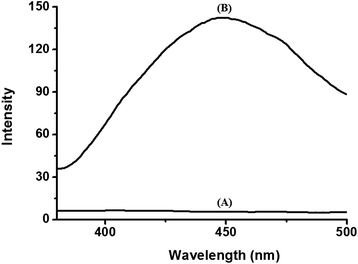 
          Fluorescence spectra of BODIPY-SiO22 films (A) before and (B) after immersion in Pb2+ solution (10 μM).