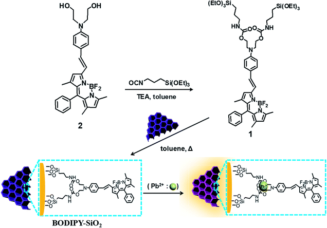 Preparation of BODIPY derivative-functionalized mesoporous silica (BODIPY-SiO22).