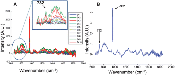 Transcutaneous Raman spectroscopy of rat leg phantom using the FEP-capped illumination probe. (A) Raman spectra from all 10 collection bundles (labeled D-1 to D-10); Raman intensity of the FEP band at 732 cm−1 varies and depends on the position of each collection bundle. (B) Mean spectrum of all collection bundles normalized to the FEP reference band at 732 cm−1.