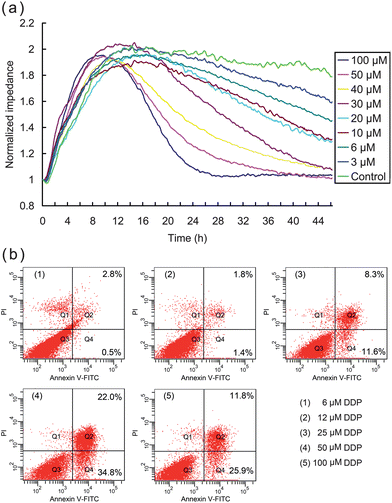 Impedance curves for DDP treatment with different dosages and validation by FCA. (a) ECIS impedance curves of HK2 cells in the presence of different concentrations of DDP. (b) Apoptosis of HK2 cells determined by FC after 24 h exposure to DDP at the indicated concentrations.