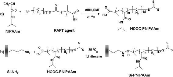 Strategy of grafting PNIPAAM onto silica supports using RAFT polymerization: (a) Polymerization of NIPAAM in the presence of 4-cyanopentanoic acid trithiododecane to produce a carboxyl-modified thermoresponsive polymer; (b) ‘In situ’ attachment of the carboxyl-modified polymer to the amino-modified silica support.