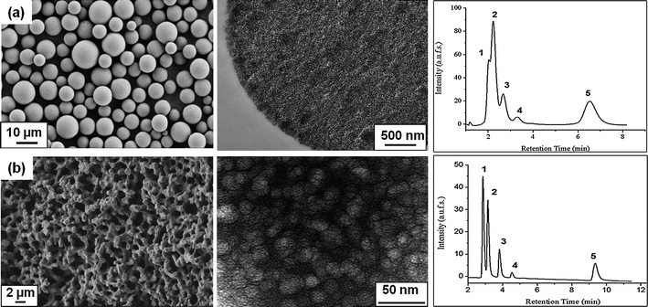 
            Electron micrographs of the chromatographic supports used for the immobilization of thermoresponsive polymers and their corresponding thermoresponsive elution profiles of an aqueous mixture of five steroids at 55 °C: (from left to right) (a) scanning electron micrograph, transmission electron micrograph and corresponding separation profile of mesoporous micrometre-sized silica beads; (b) scanning electron micrograph, transmission electron micrograph and corresponding separation profile on the continuous macro-mesoporous structure of a silica monolith; elution conditions: (1) hydrocortisone; (2) prednisolone; (3) dexamethasone; (4) hydrocortisone acetate; (5) testosterone; flow rate: 1 ml min−1; mobile phase: water.