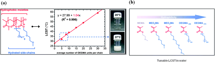 (a) Plots of the measured lower critical solution temperature (LCST) as a function of the theoretical average number of OEGMA units per chain for a series of P(MEO2MA-co- OEGMA) copolymers of various composition. (Hydrophobic and hydrophilic molecular regions in the copolymer are indicated in red and blue, respectively.) (b) Molecular structures of various oligo(ethylene glycol) methacrylates. (Hydrophobic and hydrophilic molecular regions are indicated in red and blue, respectively.) Taken with permission from J. F. Lutz, Journal of Polymer Science Part a-Polymer Chemistry, 2008, 46, 3459–3470.