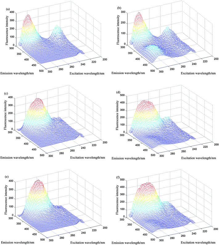 Three-dimensional plots of the excitation–emission matrix fluorescence spectra: (a) for 0.736 μg mL−1 of estriol (E3); (b) for 18.0 μg mL−1 of estrone (E1); (c) for 100 μL 10 times diluted watermelon frost anti-acne toner; (d) for 100 μL 10 times diluted watermelon frost anti-acne toner and appropriate amount of E3 and E1; (e) for 100 μL 10 times diluted pagoda flower relaxing lotion; (f) for 100 μL 10 times diluted pagoda flower relaxing lotion and appropriate amount of E3 and E1.