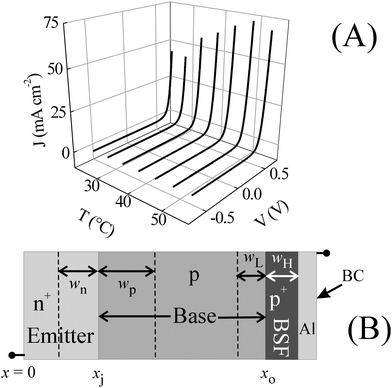 (A) Current (J) vs. voltage (V) curves for a single crystal Si solar cell, recorded using LSV at five degree intervals between 25 and 55 °C. (B) A schematic of a Si solar cell (not drawn to scale) including an n+-p diode, a p-p+ low-high BSF interface, and a back contact (BC) of Al and Si.