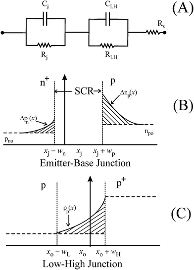 (A) Equivalent circuit model of the experimental solar cell, used here to obtain CNLS calculated fits to the experimental IS data. (B) A schematic diagram (not according to scale) of the n+-p diode junction showing the SCR (without displaying the immobile ion cores contained in it) and the voltage injected free carrier concentrations, Δnp and Δpn, in the quasi-neutral base (p) and emitter (n+) regions, respectively;19,27np0 and pn0 are the equilibrium minority carrier concentrations in the base and the emitter, respectively. (C) Schematically (not to scale) drawn concentration profile, pp(x), of holes in the p-p+ junction.28 The regions x0−wL ≤ x ≤ x0 and x0 ≤ x ≤ x0 + wH represent the hole-accumulation and hole-depletion regions, respectively. The value of pp increases from Na at x0−xL to Na+ at x0 + xH.