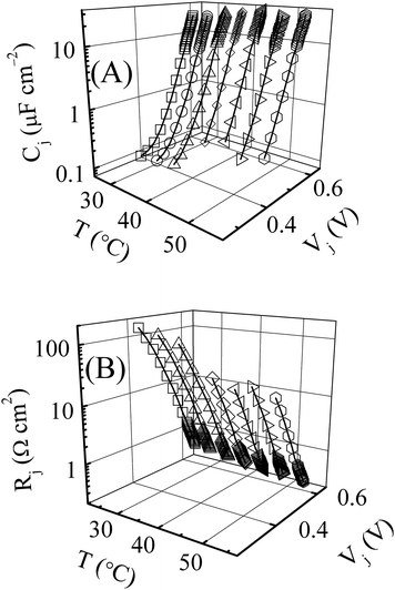 (A) Capacitance, Cj, and (B) resistance, Rj, of the n+-p diode junction of the Si solar cell, plotted as functions of temperature and forward bias junction voltages. The data sets are taken at 5 degree intervals between 25 and 55 °C. The lines connecting the data points (symbols) show the linear trends of the semi-log plots.