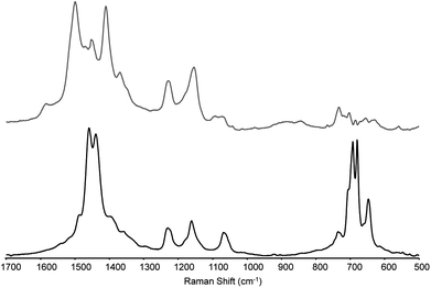 Resonance Raman spectra of mono (lower) and bipolaronic state (upper) of the polymer on a gold working electrode (obtained by subtraction, see text for details) at λexc 785 nm.