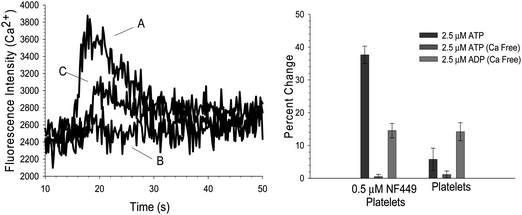 Effect of Ca2+ free buffer on Ca2+ influx in platelet containing 0.5 μM NF449. (Left) 2.5 μM ATP was added as an agonist in the presence of Ca2+ as represented in trace A. The typical increase in Ca2+ influx is seen. However, in a Ca2+ free environment (trace B), the addition of 2.5 μM ATP resulted in no significant increase in Ca2+. Additionally, in the Ca2+ free environment, ADP is still able to elicit a Ca2+ increase (trace C). (Right) The summarized data indicates that when Ca2+ is not present, there is no Ca2+ influx due to 2.5 μM ATP in platelets containing 0.5 μM NF449 or platelets alone. However, signal due to ADP stimulation is still present.