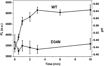 The fluorescent intensity changes and pH changes induced by Mn2+ uptake of WT strain and mutant D34N strain in the presence of Mn2+ ions and Probe I as a function of the incubation time. Mn2+ concnetration is 0.3 μM.