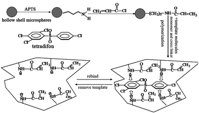 The structure of tetradifon and the molecular imprinting process based on hollow shell microspheres.