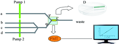 The flow path of the determination of tetradifon is described in Figure 2(a) sample or methanol; (b) luminal; (c) hydrogen peroxide; (d) sodium hydroxide; (pump1, pump2) peristaltic pump.