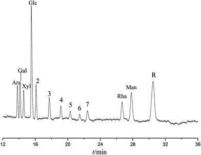 Electropherogram of PMP derivatives of aldoses and maltooligosaccharides by CZE. Running buffer, 50 mM phosphate buffer, pH 2.5; voltage, 15 kV; hydrodynamic pressure injection, 10 cm × 6 s. Peaks: Ara = arabinose, Gal = galactose, Xyl = xylose, Glc = glucose, Rha = rhamnose, Man = mannose, 2–7 = the degree of polymerization (DP) of the oligosaccharides are from 2 to 7, R = PMP.