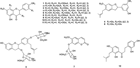 Structures of compounds from B. papyrifera.