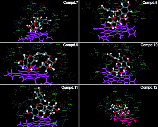 The interaction between human aromatase and compounds 7–12. Crystal structure of human aromatase was obtained from the RCSB protein data bank (http://www.pdb.org, pdb code: 3EQM). The molecular docking procedure was performed by using CDOCKER protocol for receptor-ligand interactions section of Discovery Studio 2.1.