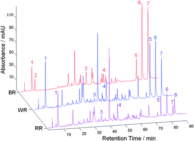 Fingerprints of raw rhubarb (RR), wine-treated rhubarb (WR) and braised rhubarb (BR) samples.