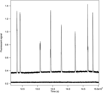 The signal output from the incubation of 8 molecules of E. coli β-galactosidase is shown.